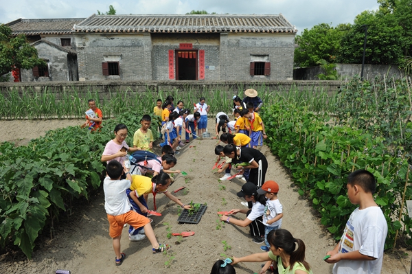 青少年走进田间参与辣椒、茄子种植体验